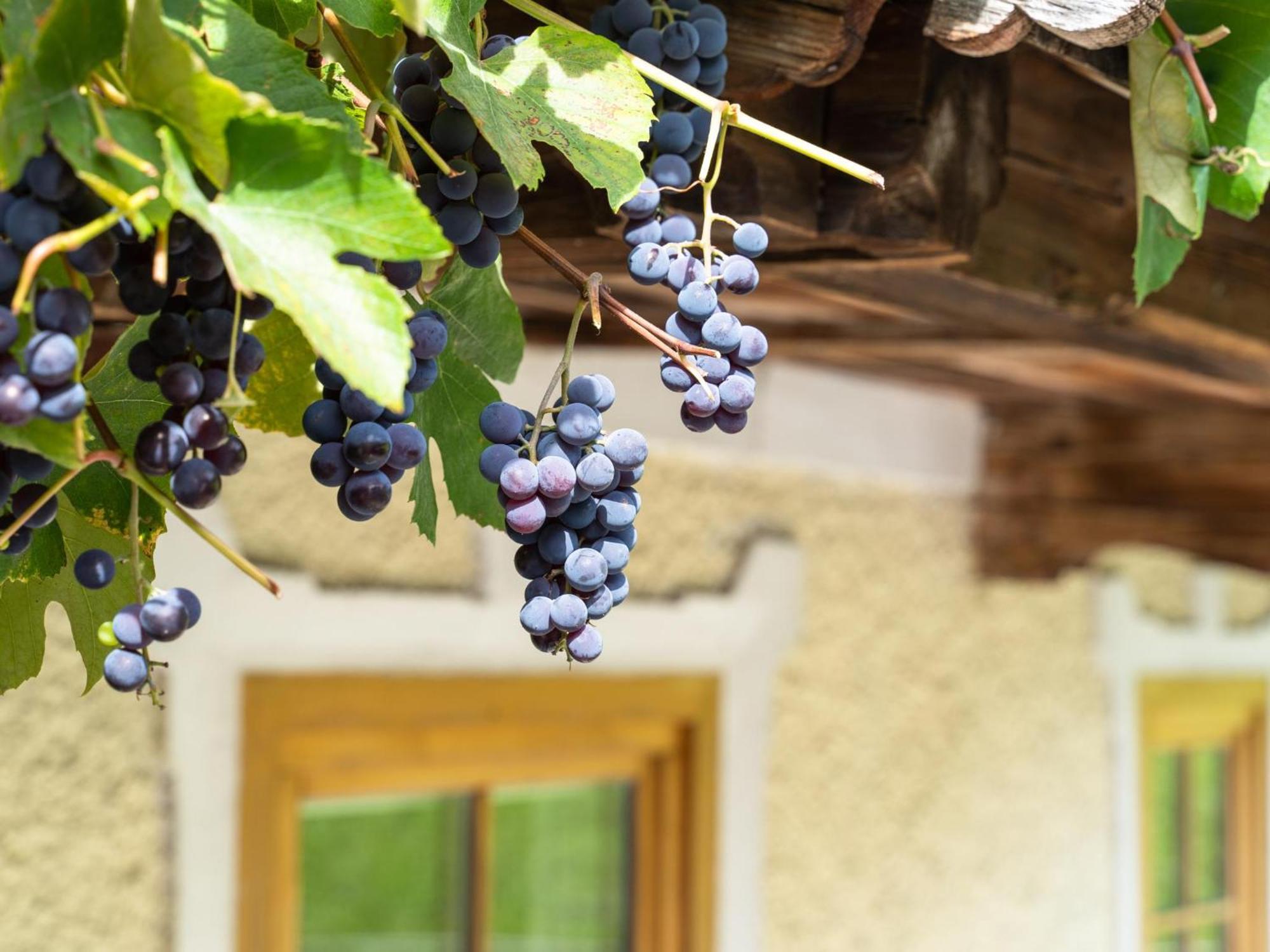 Chalet Anna Bruck am Ziller Luaran gambar
